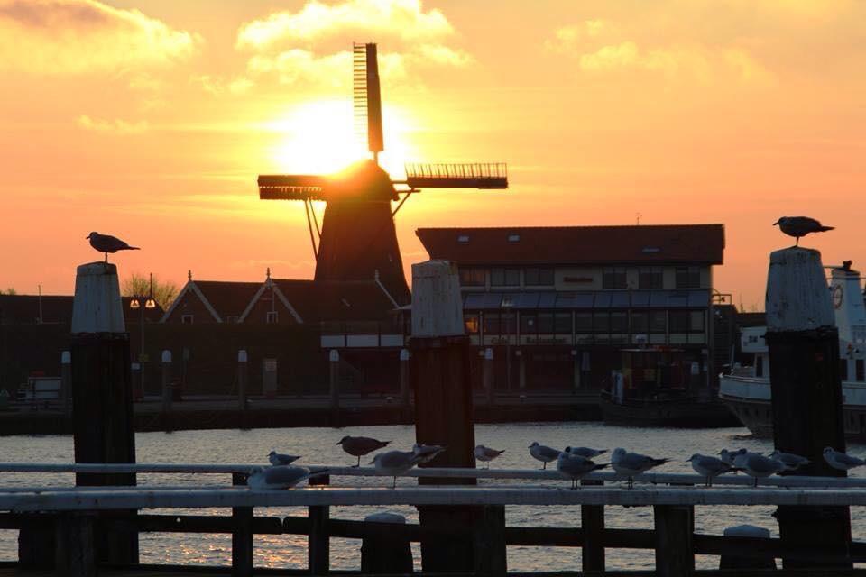 Hotel Havenzicht Texel Oudeschild Exterior photo